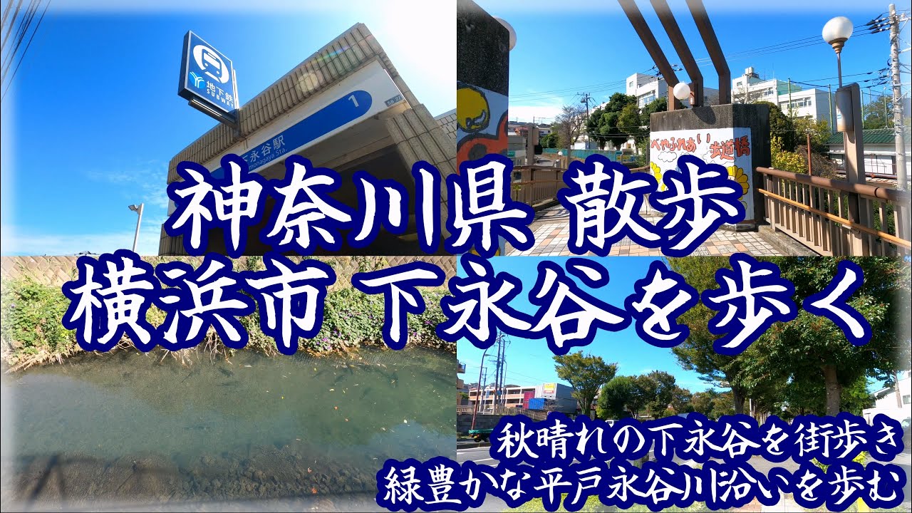 ( 4K )  神奈川県 散歩 横浜市港南区 下永谷を歩く。 ~ 秋の青空の下、緑豊かな風景と川沿いの散歩 ~