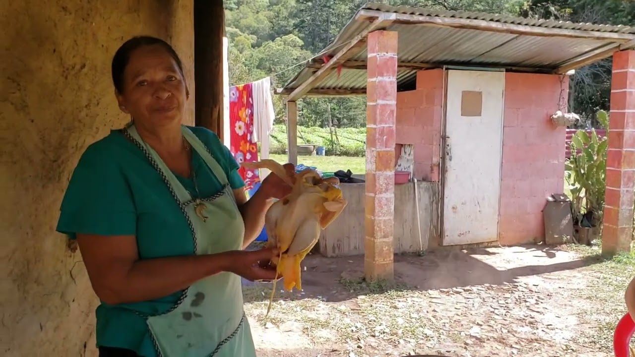 Conociendo el cipresalito en el Salvador 