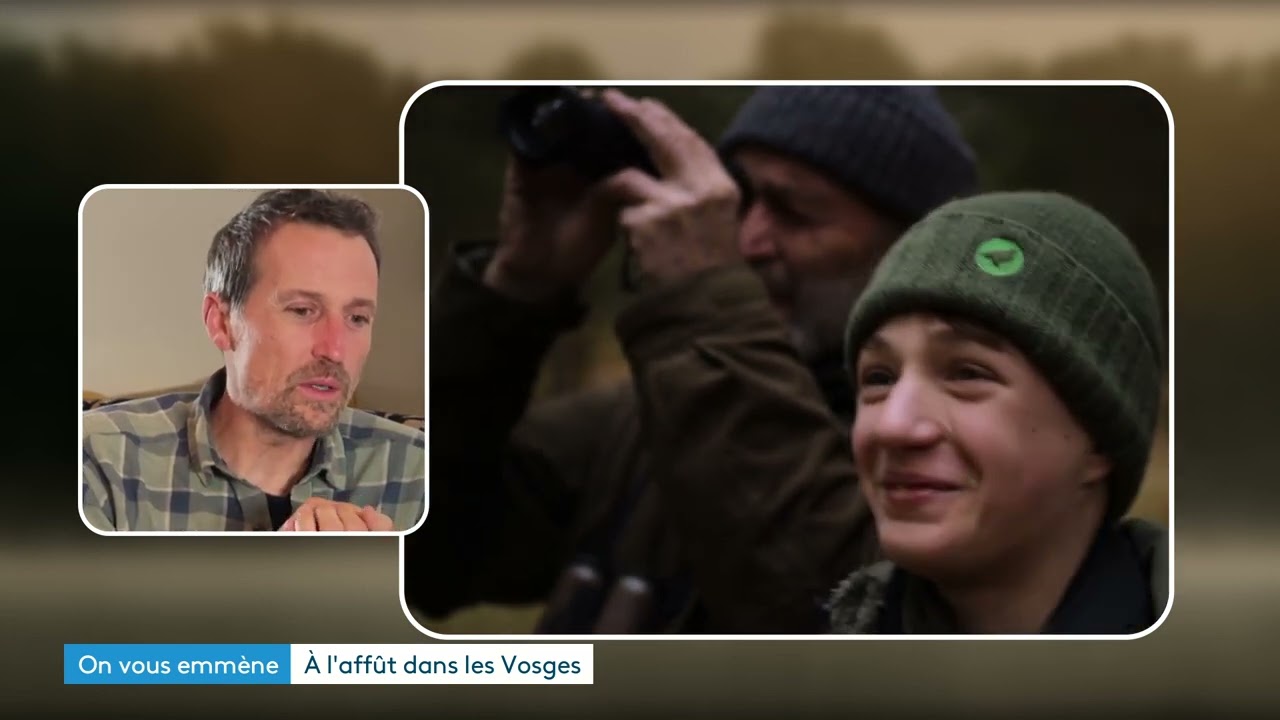 Les Vosges comme vous ne les avez jamais vues… ni entendues : un film à écouter les yeux fermés