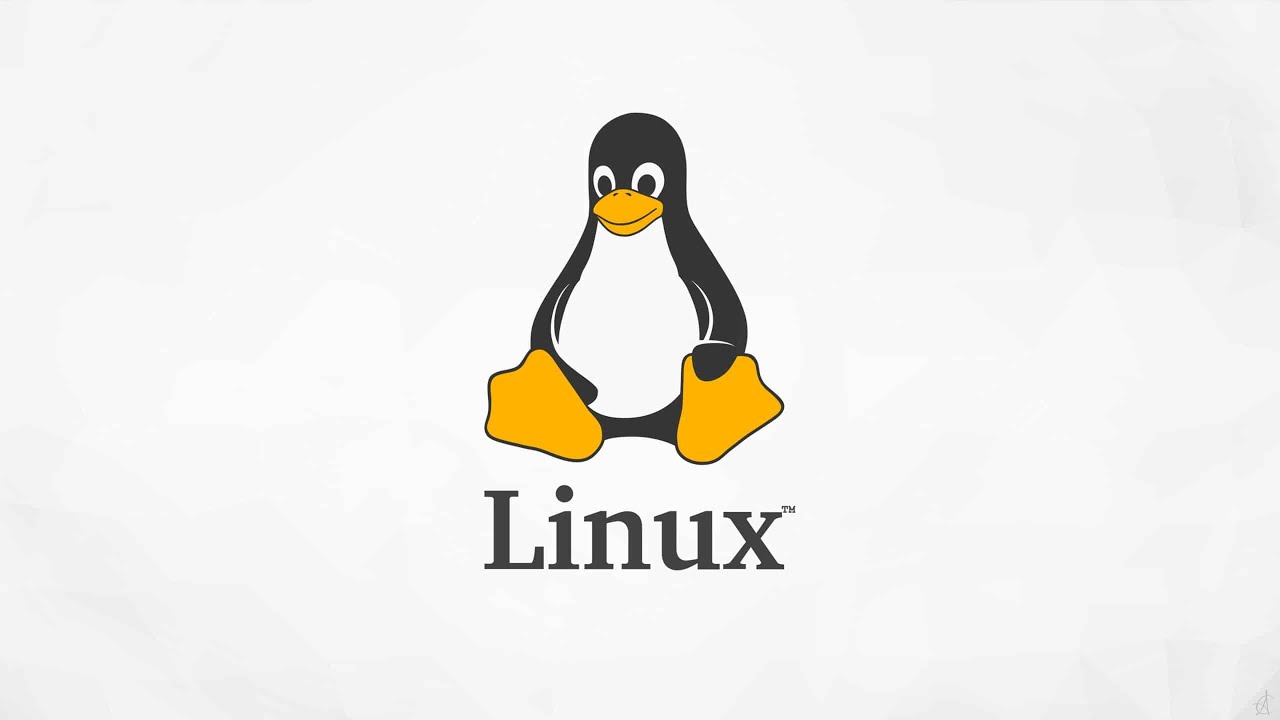 #04 LINUX tworzenie i montowanie partycji