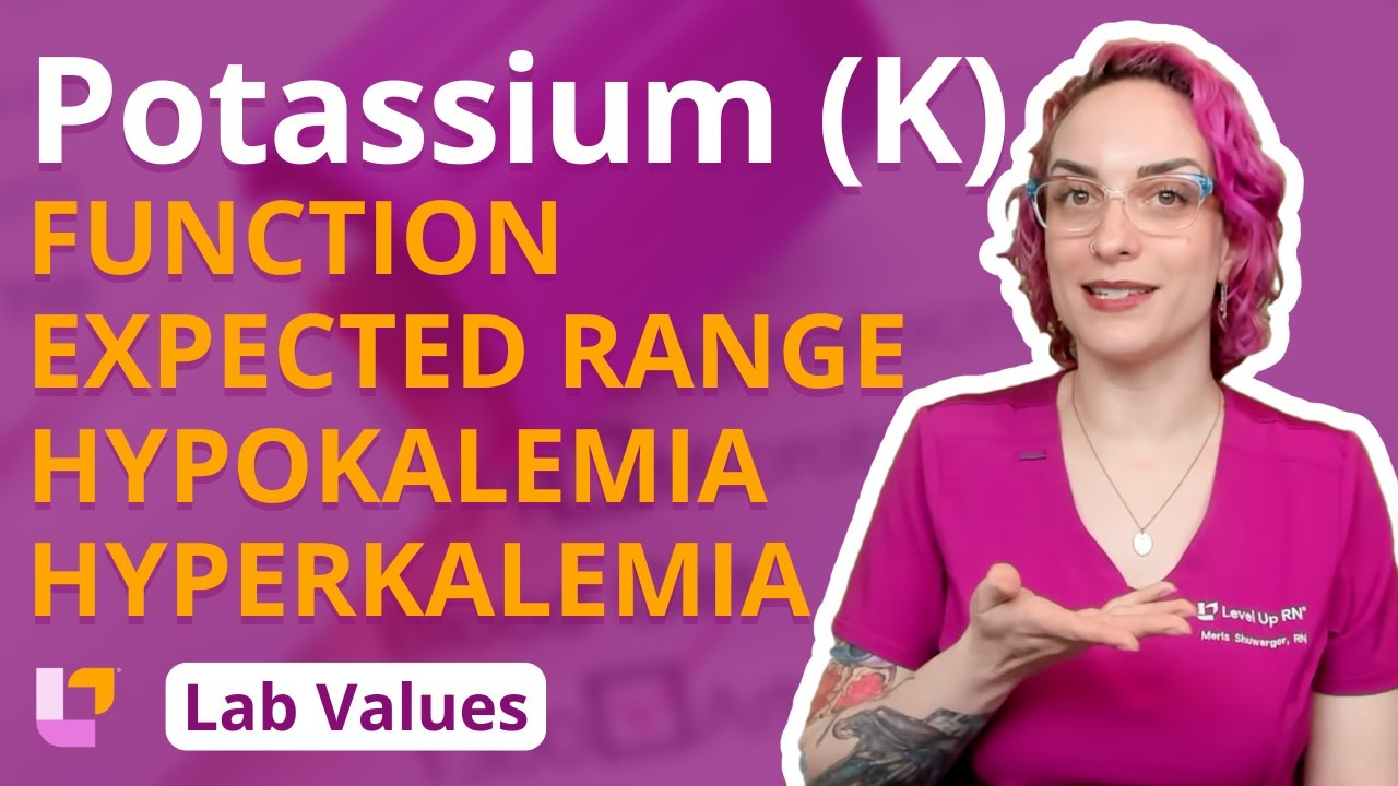 Potassium (K): Lab Values - Function, Range, Hypokalemia & Hyperkalemia | @LevelUpRN