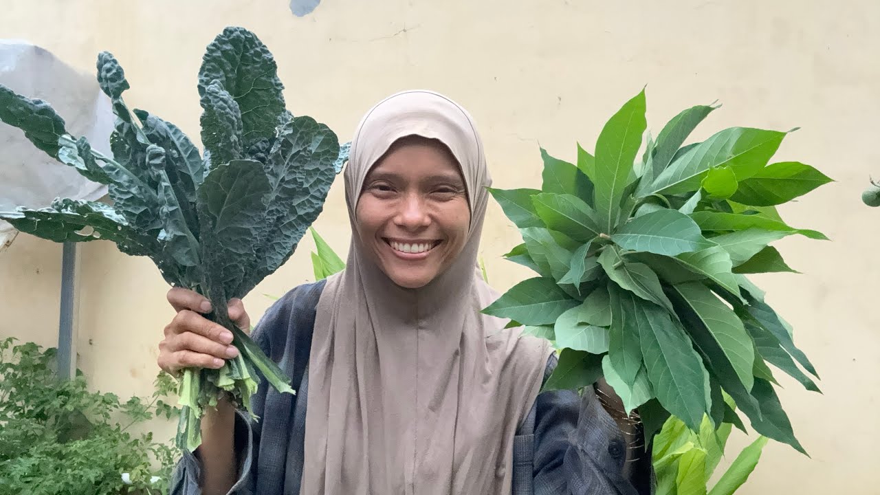 Kale vs daun singkong. Enak mana?