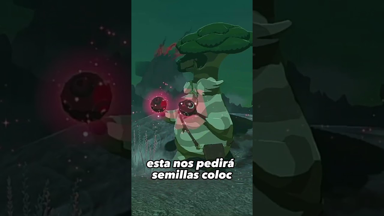 COMO SE USAN LAS SEMILLAS KOLOG ZELDA TOTK