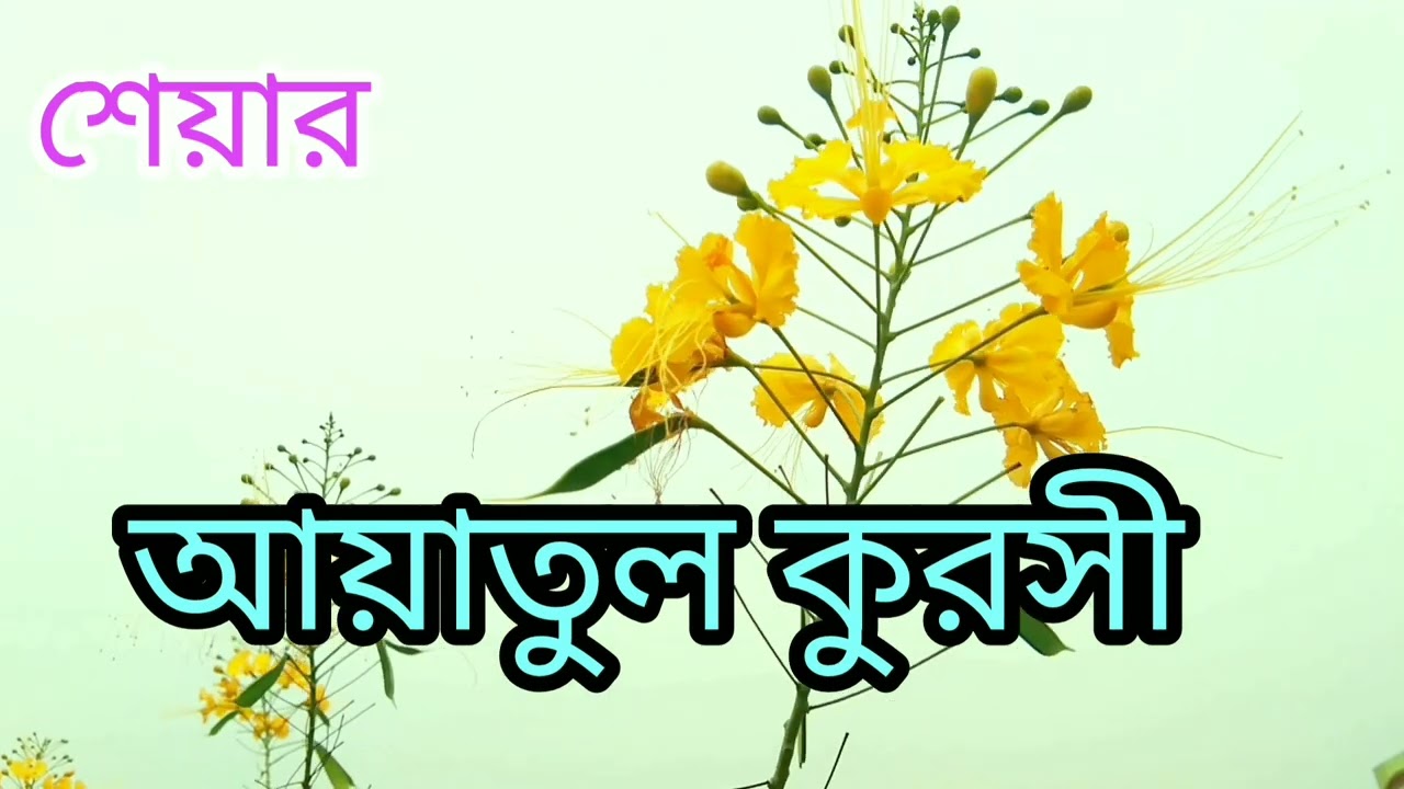 @ আয়াতুল কুরসি,সকল মুসলমানদের জন্য জরুরী.