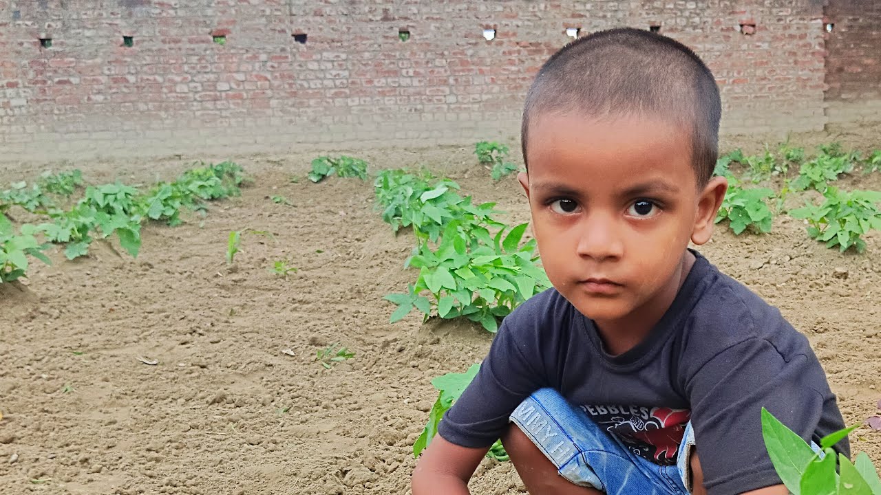 मेरे लाइव में आपका स्वागत है