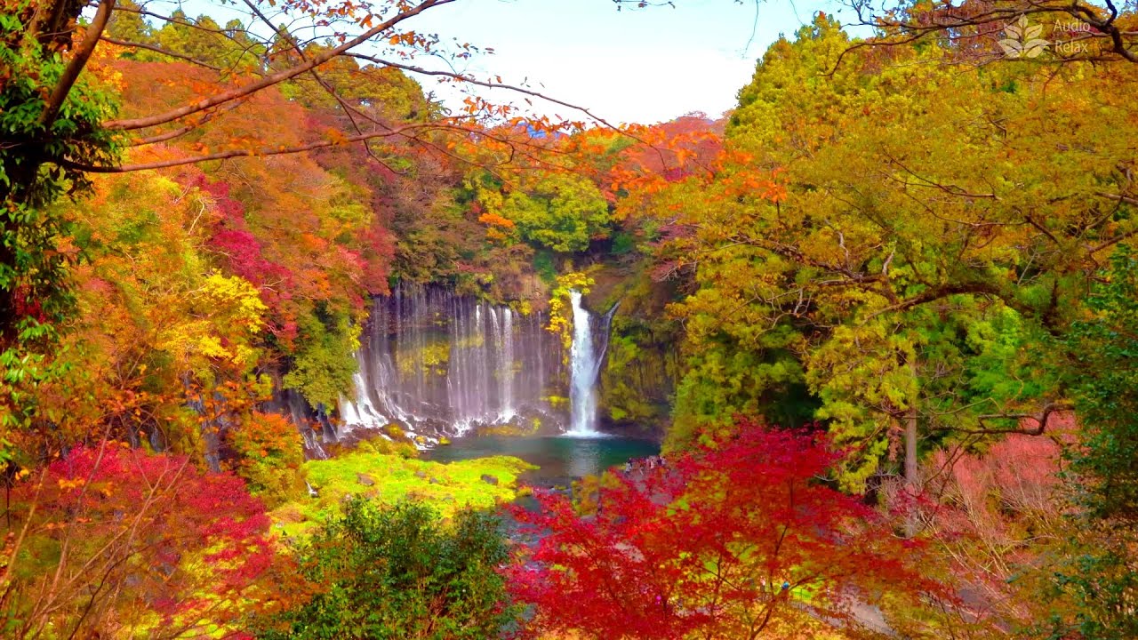 Shiraito Falls (Japan) in autumn. 10 hours water white noise.