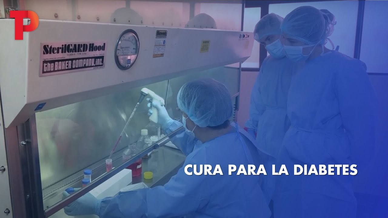 Cura para la diabetes I 30.08.2023 I TP Noticias