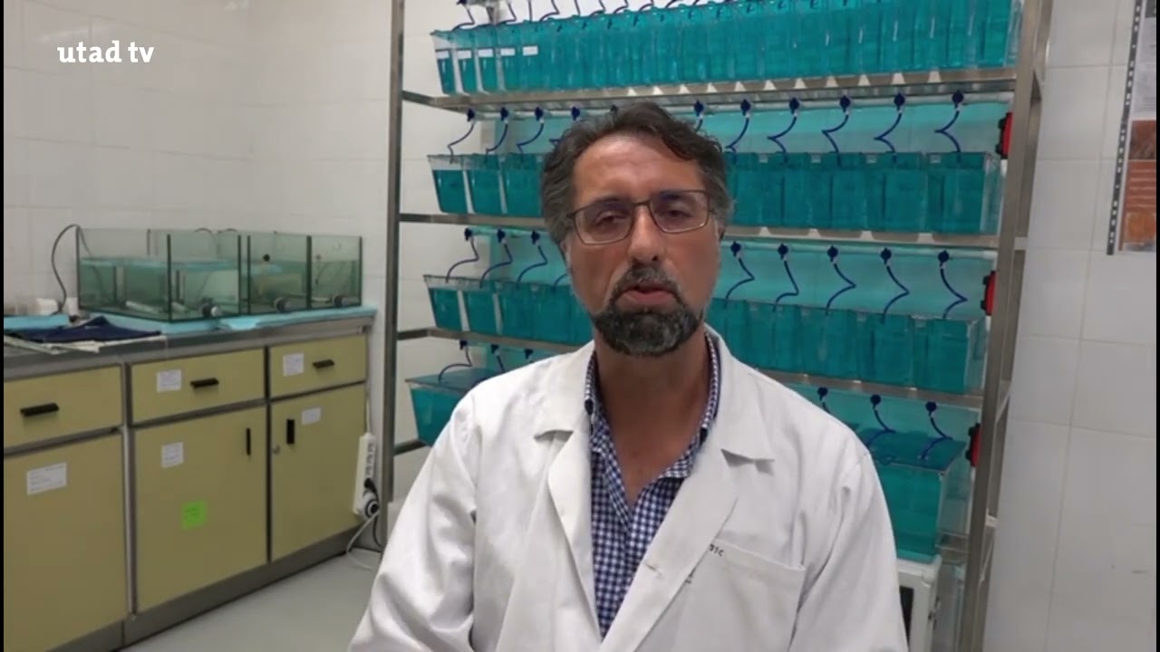 Jo&atilde;o Carrola | Descomplicar Ci&ecirc;ncia &ndash; UTAD TV