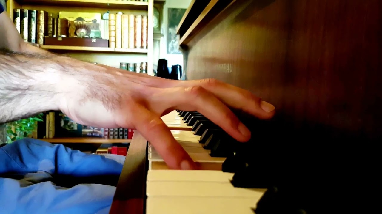 Liszt - Transcendental Etude n°10 - Work in Progress