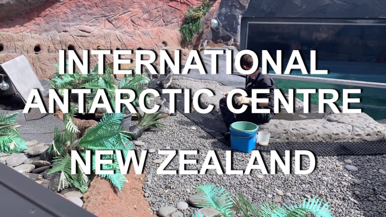 International Antarctic Centre Christchurch | 4K | Christchurch | South Island | New Zealand