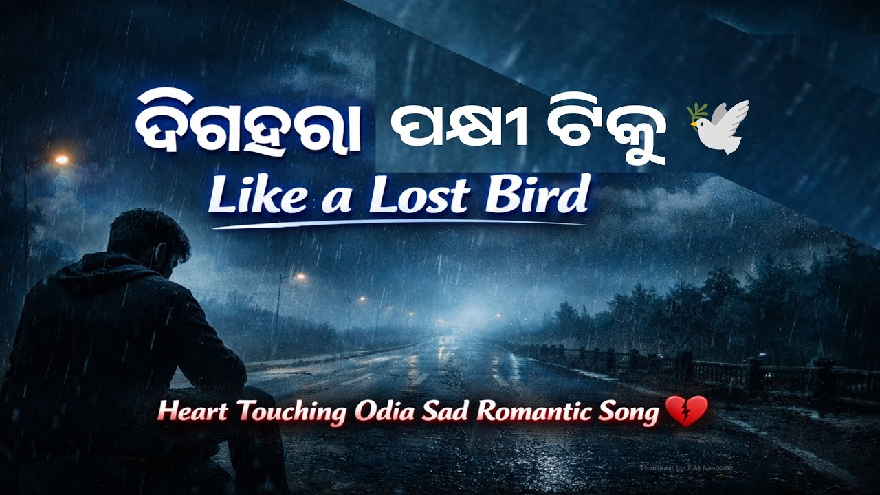 🕊️ ଦିଗହରା ପକ୍ଷୀ ଟିକୁ | Like a Lost Bird | New Odia Sad Romantic Song 2026 💔