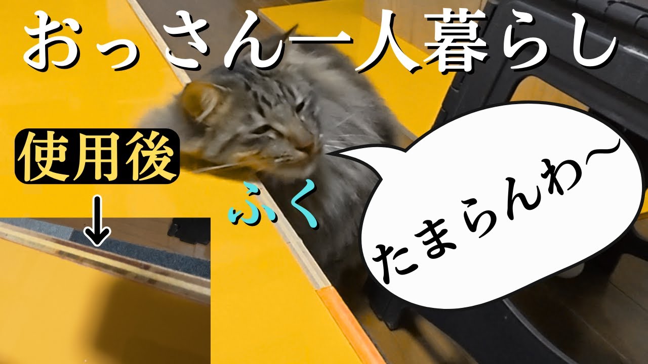 【奇怪な行動をする猫】キジトラ猫の『ふく』にはピンポイントのお気に入り『スリスリ場所』がありました