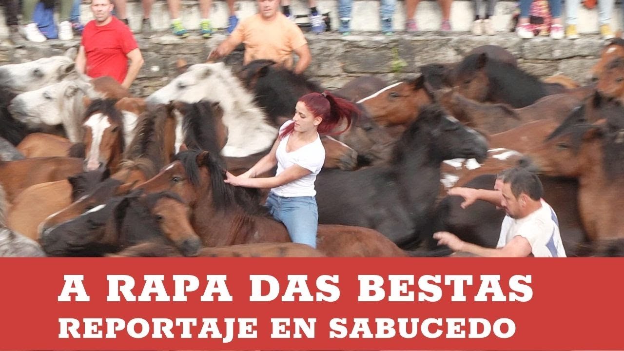A Rapa das Bestas de Sabucedo
