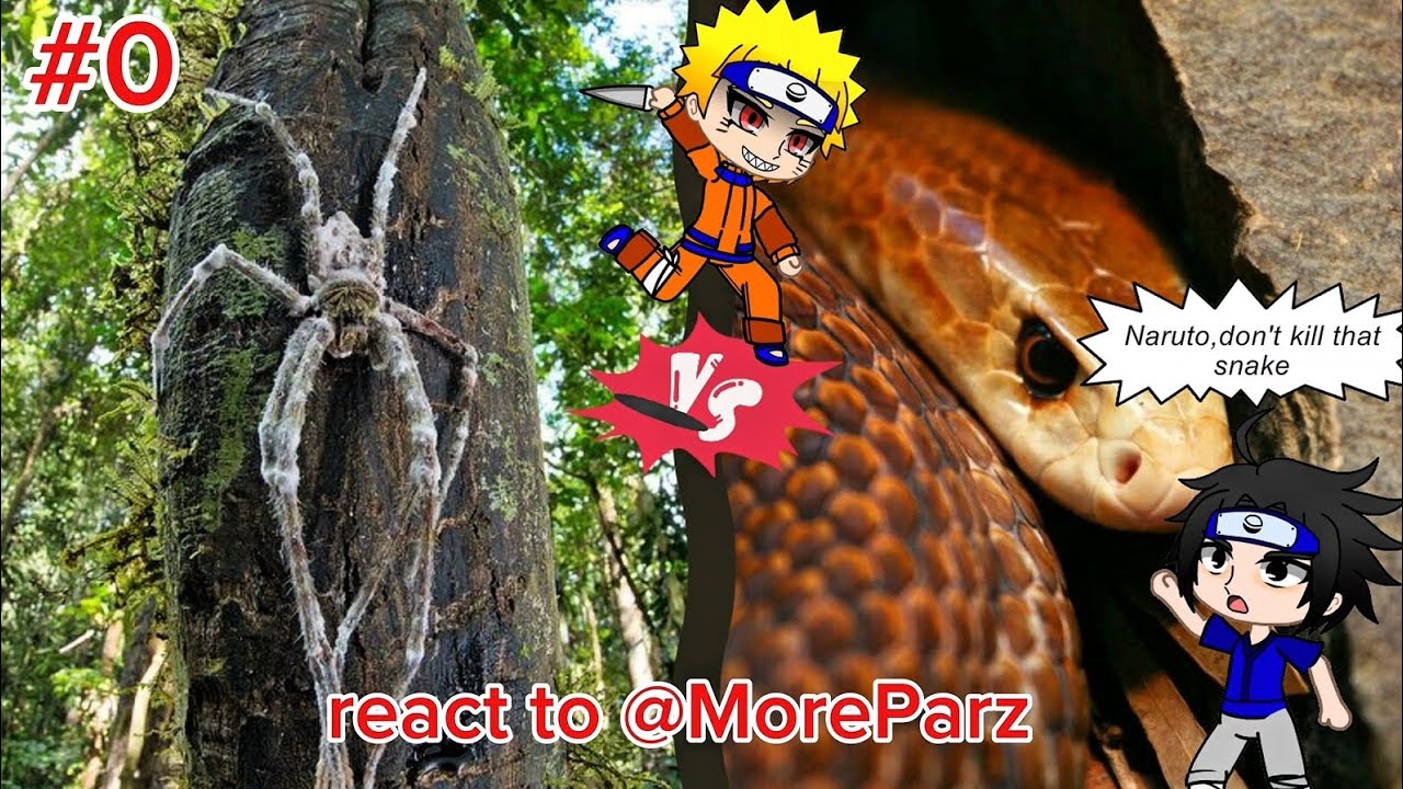 Team 7 Naruto React to @moreparz : Collection of Venomous Animals - Part 0