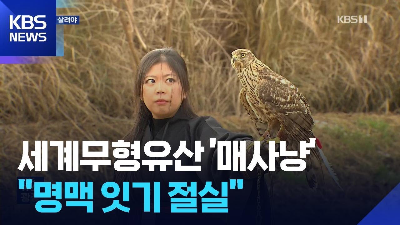 대청호반에서 펼쳐진 전통 매사냥…“문화유산 전승 절실” / KBS  2025.12.08.