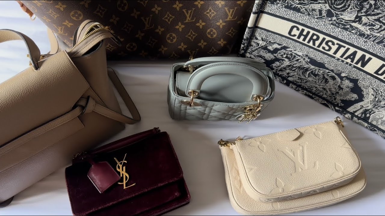 MOST USED BAGS of 2022 (Celine, Dior, Louis Vuitton, Saint Laurent)