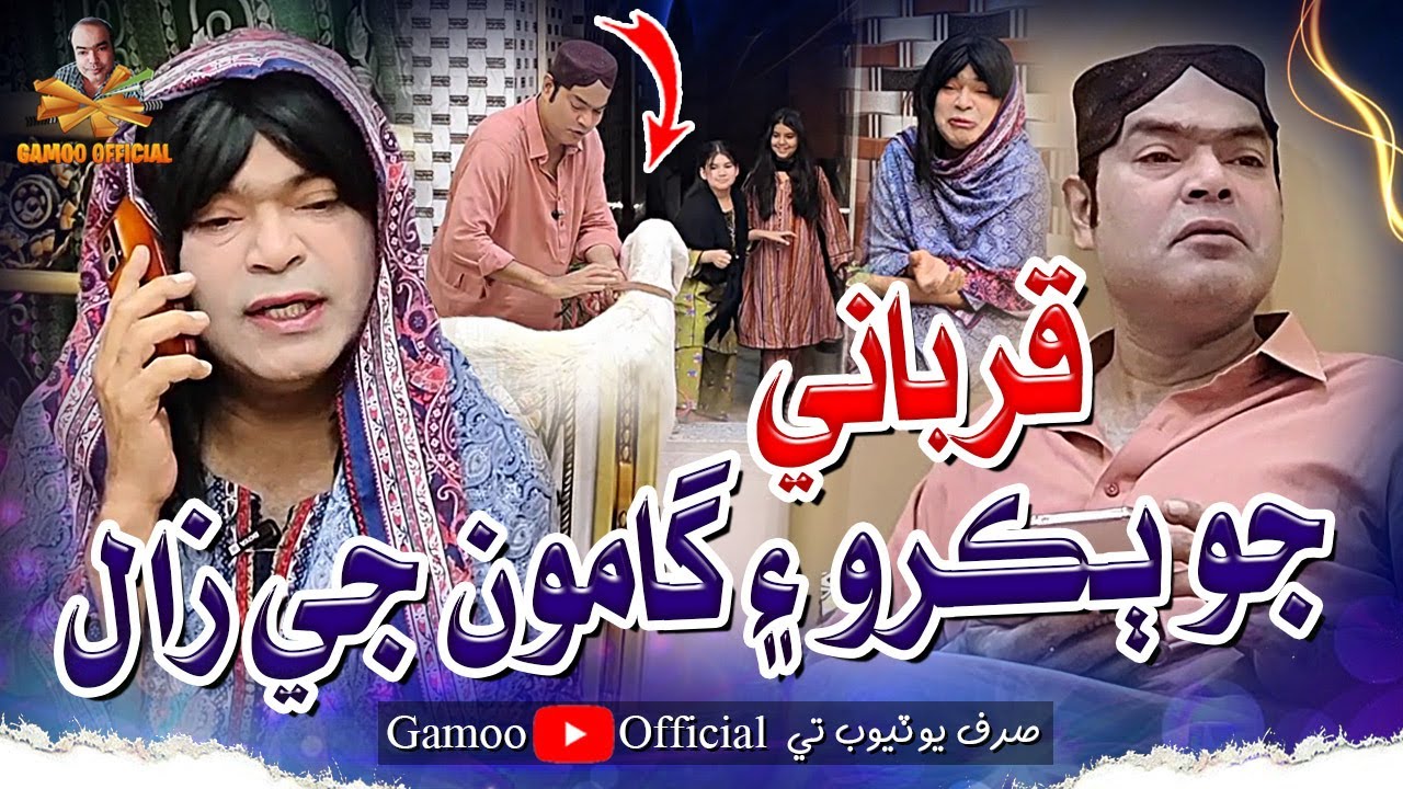 Qurbani Jo Bakro Ain Gamoo Ji Zaal | Asif Pahore (Gamoo) | New Eid Ul Adha 2025 Video | Comedy Funny