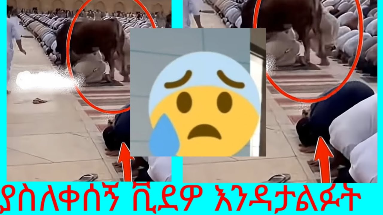 ያስለቀሰኝ ቪደዎ እንዳታልፉት