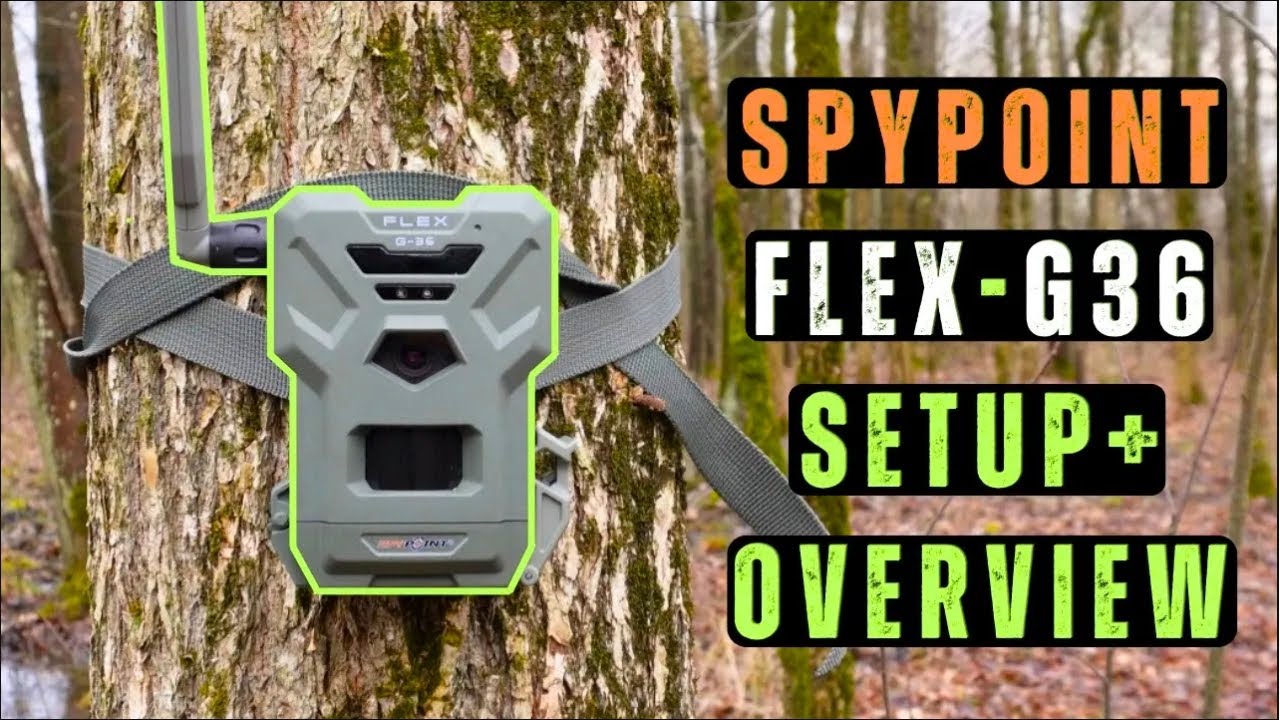 Spypoint's Budget Beast | FLEX G36 Setup & First Look
