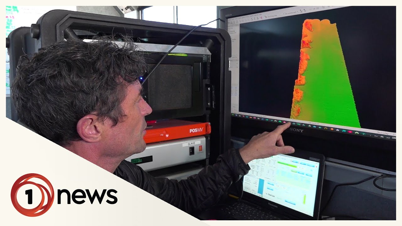 Metres of silt smothers reefs, killing ecosystems in Hawke&rsquo;s Bay seabed