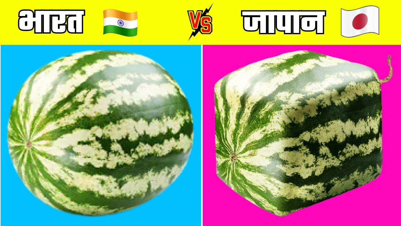 India Vs Japan Technology | Japan Science And Technology | Japan Vs India Comparison | Japanese