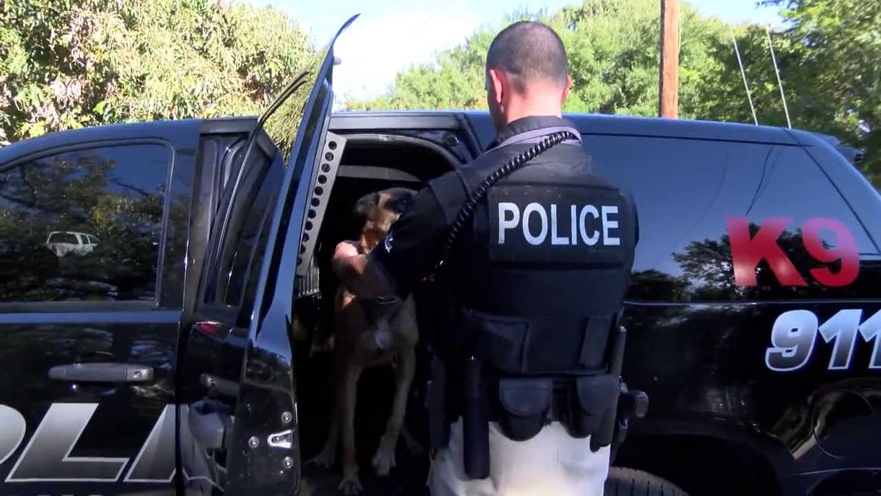 K9 Officer Vox