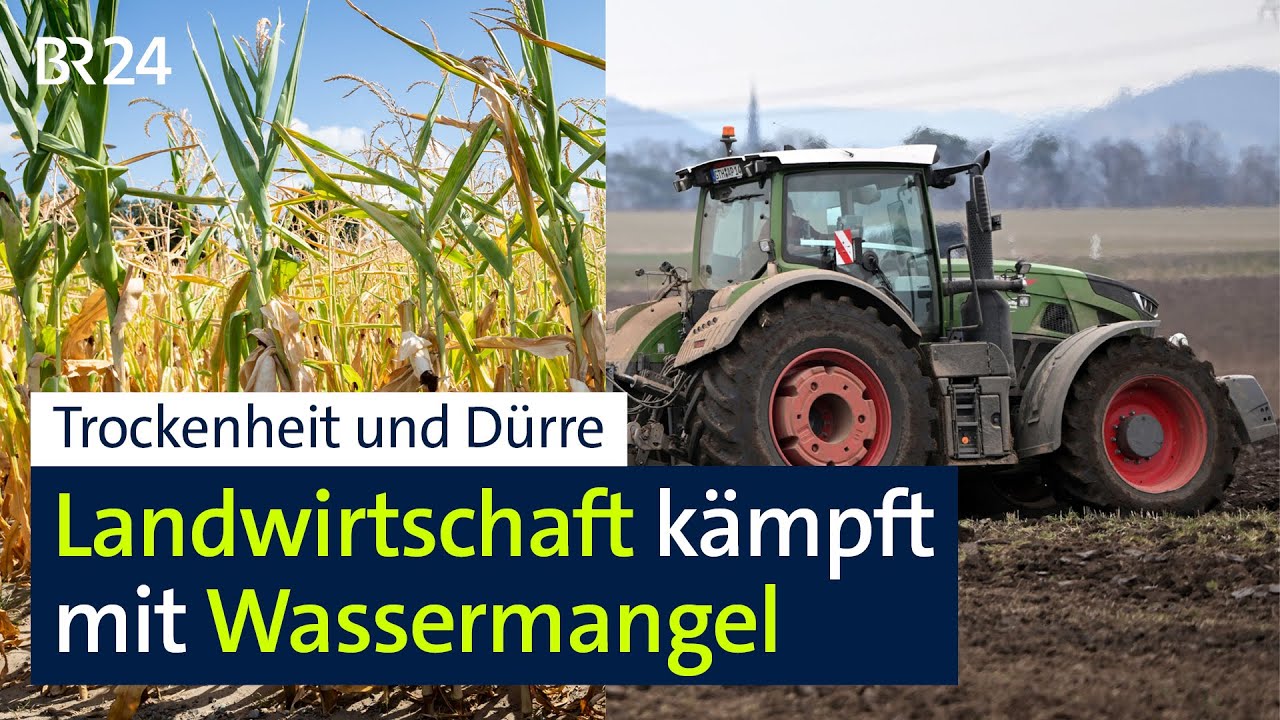 Trockenheit in der Rhön: Landwirte müssen sich anpassen | BR24
