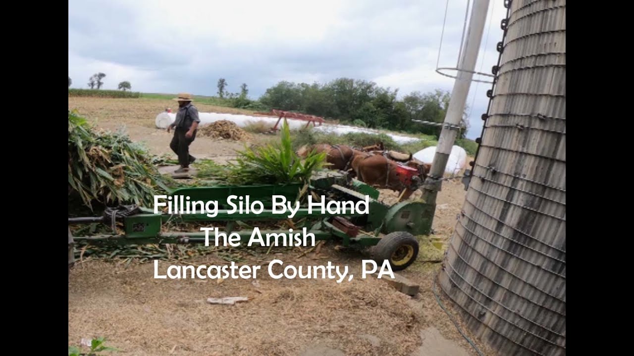 Lancaster Amishmen Filling 70 Foot Silo...By Hand