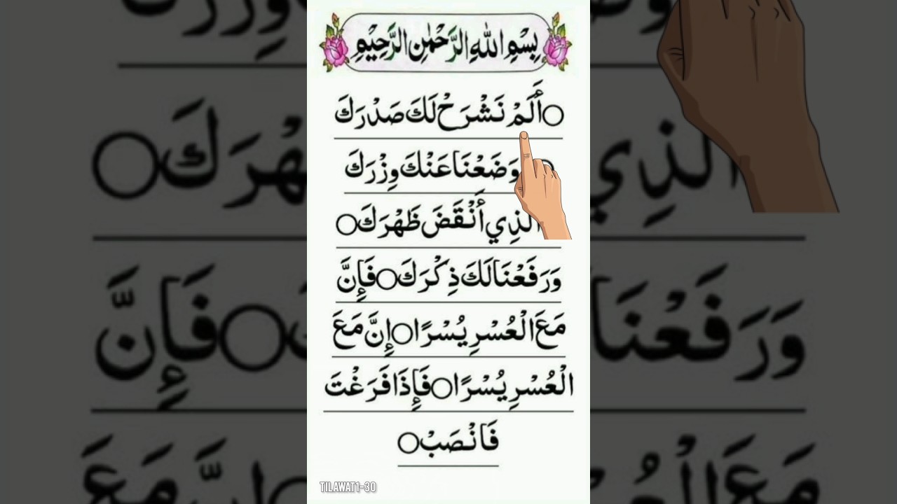 Surah Alam-Nashrah | Surah Nashrah | Ash Sharah Beautiful Recitation #quran #tilawat #shorts