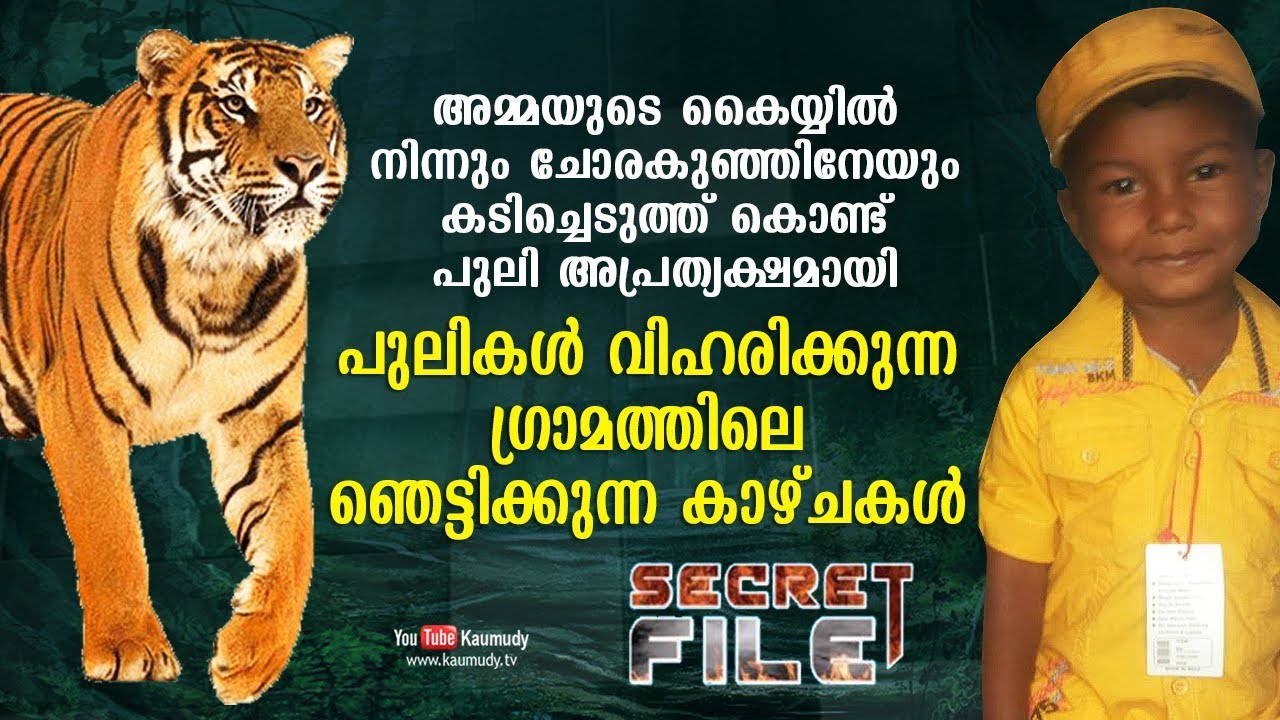 Watch what a Tiger did to a little boy | Heart wrenching Secret file Latest episode