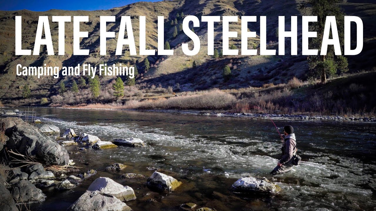 Truck Camping and Fly Fishing for Steelhead in FRIGID Conditions | Steelhead Chronicles