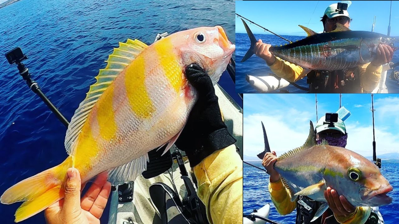 Hawaii Kayak Fishing: Yellowfin Tuna and Deep Drop Action on the Avet MXL