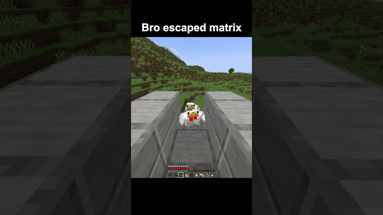 Bro escaped the matrix