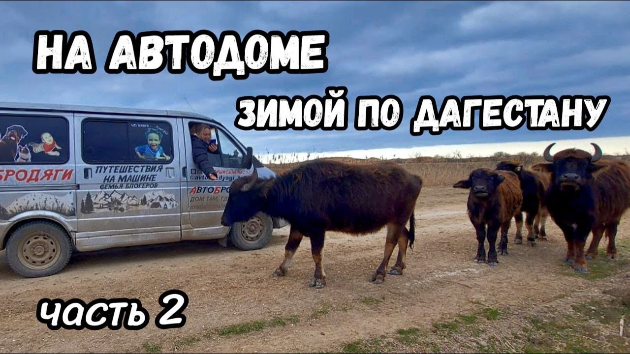 Дагестан - жизнь в автодоме зимой. Неизвестные Каякентский и Сулейман-Стальский районы.
