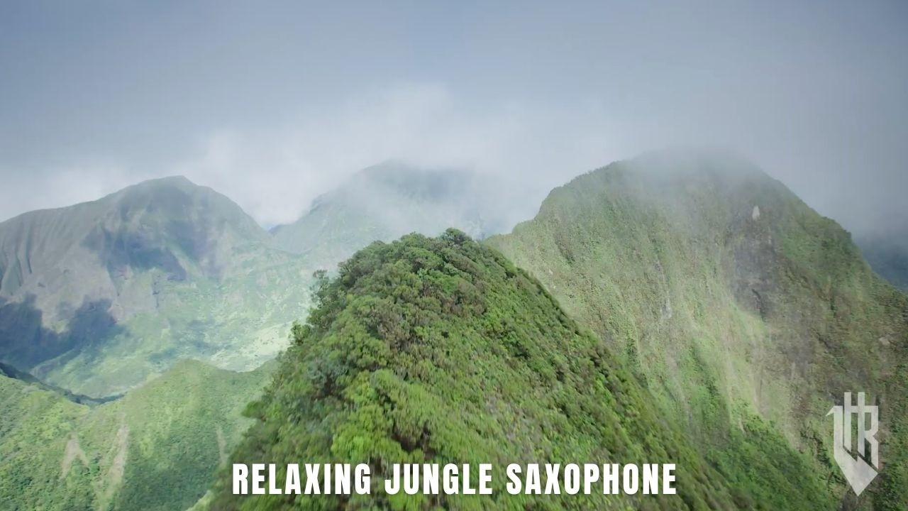 🌿 JUNGLE – Smooth Saxophone & Nature SoundscapeProduced by Dr. Harold Rapp III