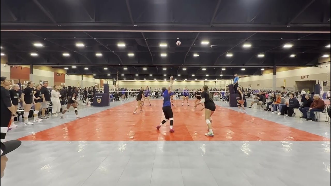 Holiday Heat Festival Highlights - 2025