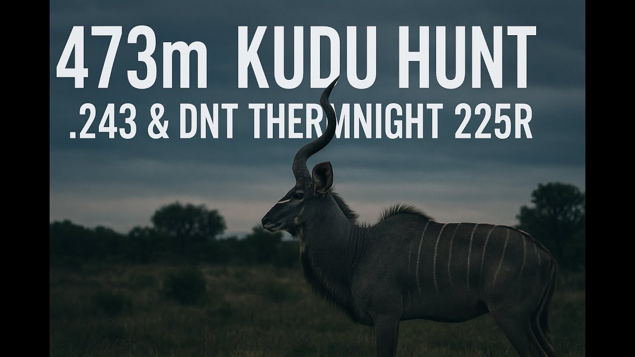 Warthog Hunt Turned Into Kudu Hunt