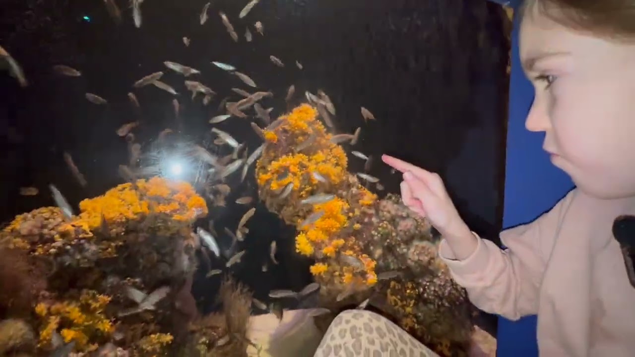 Palma Aquarium