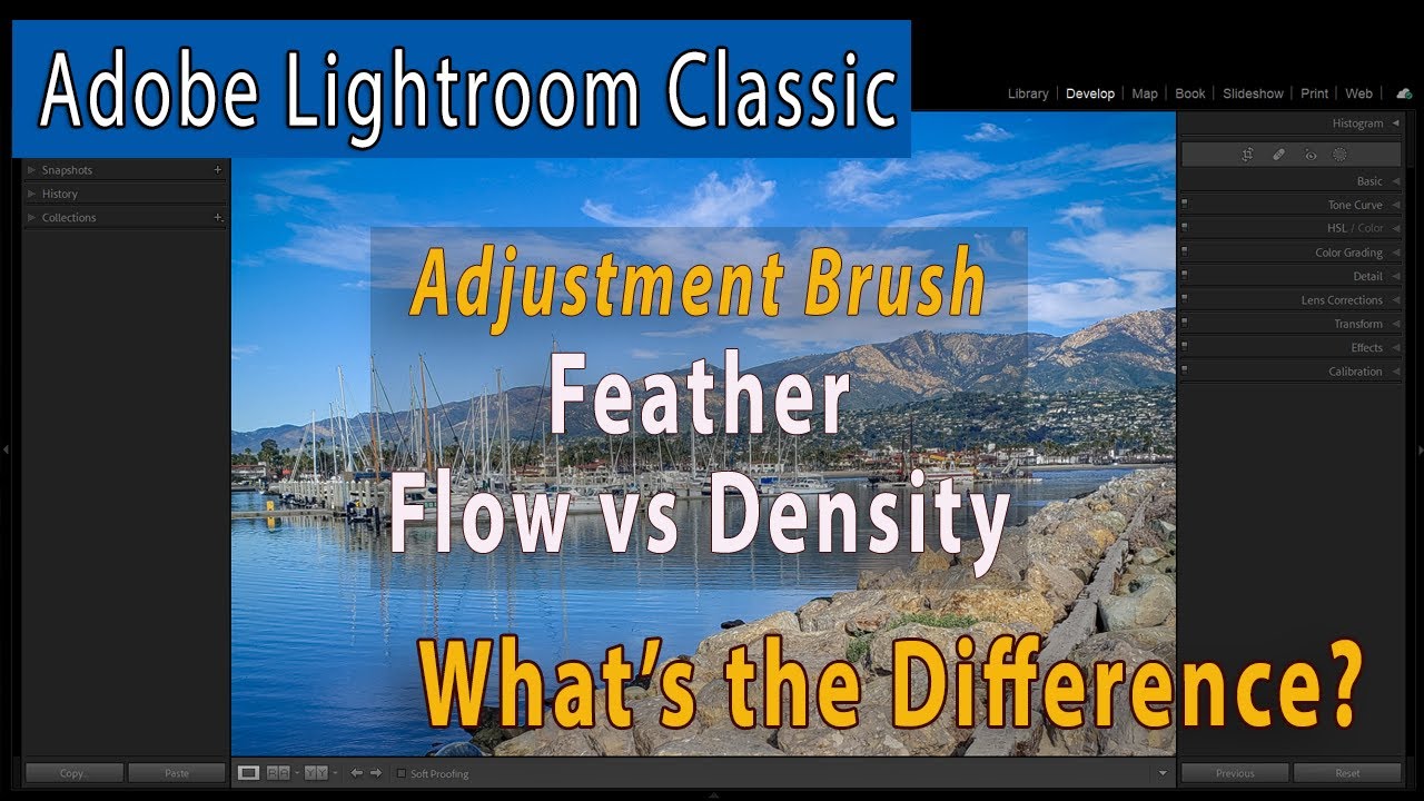 Difference Between Brush Feather, Flow and Density in Lightroom Classic