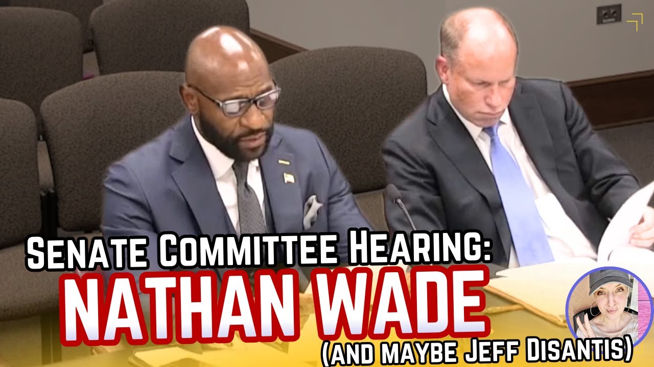 Nathan Wade, Jeff Disantis Testify | Georgia Senate Special Committee Investigating Fani Willis