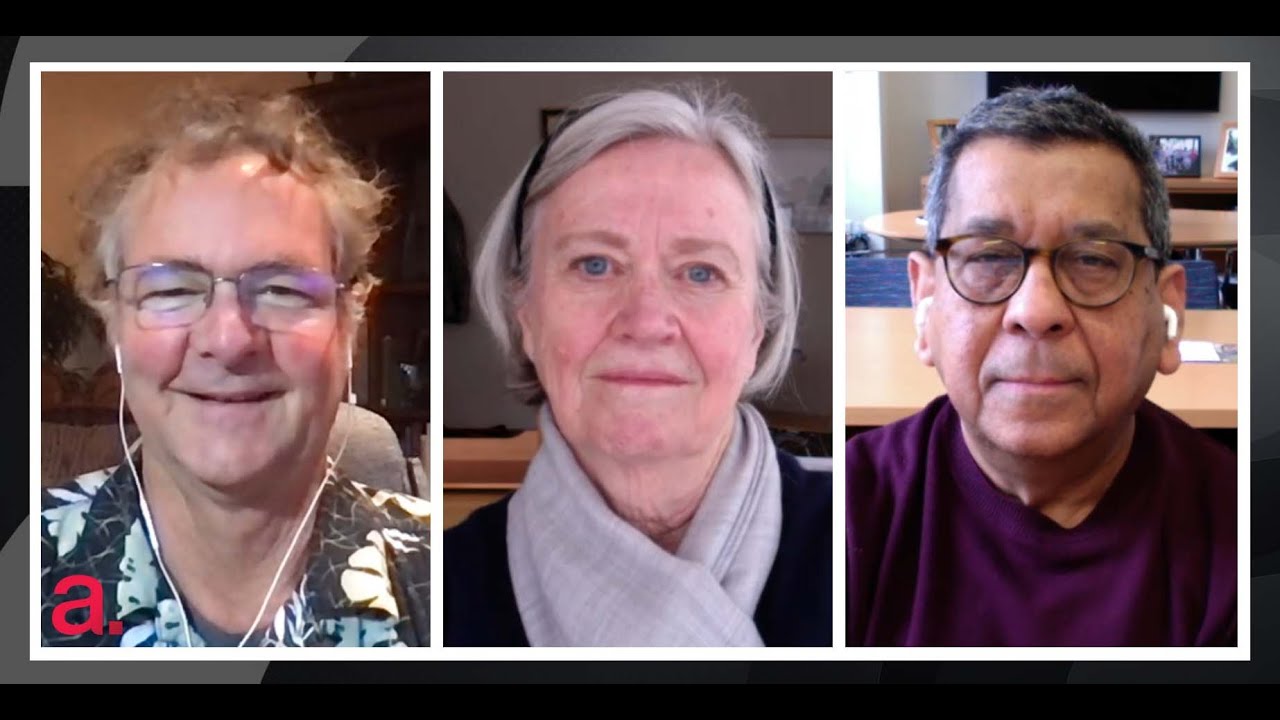 The Human Genome Project: 20 Years Later | The Agenda