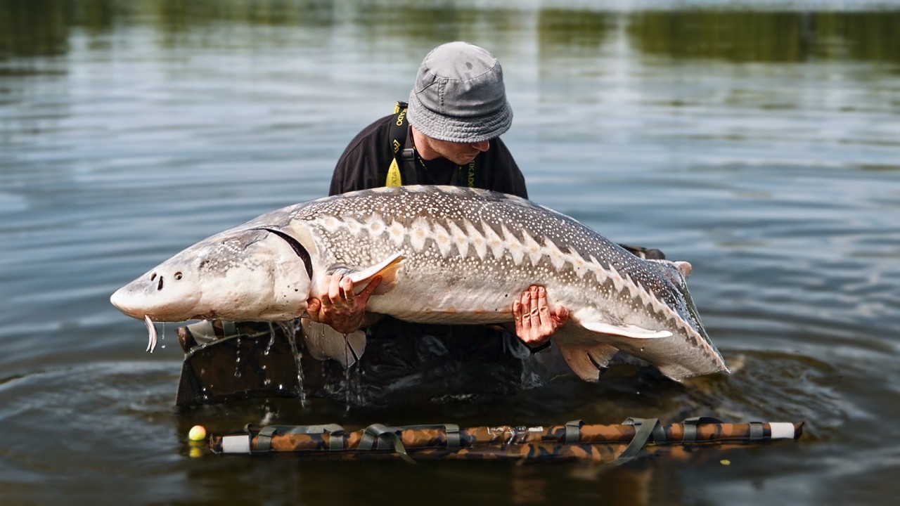 I CAUGHT A REAL MONSTER!