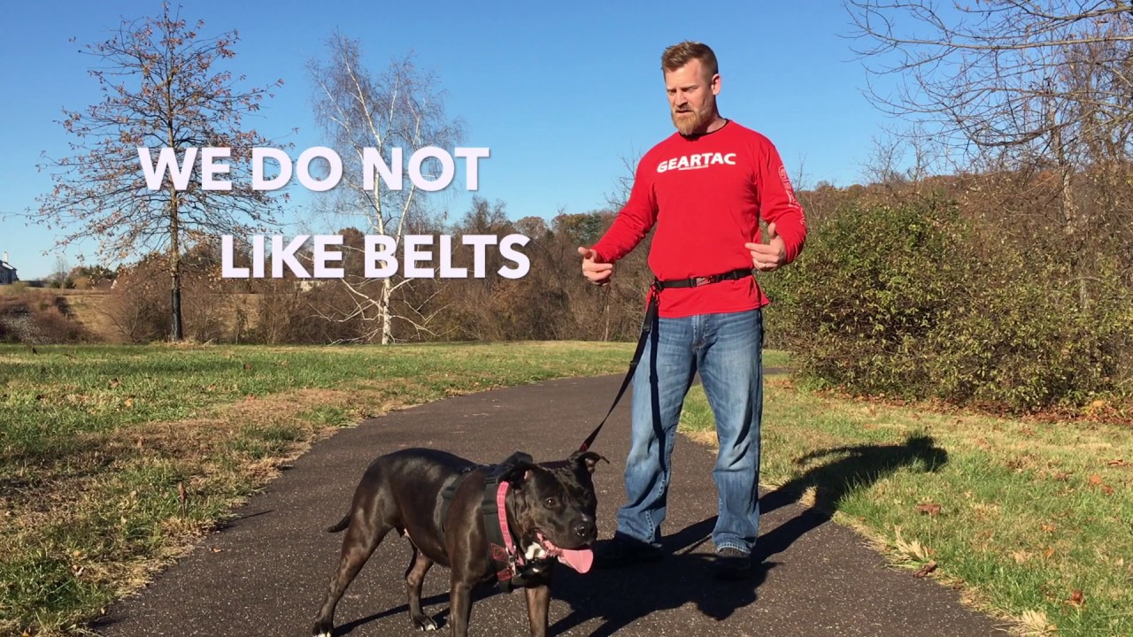 THE GEARTAC K9 HANDS FREE DOG WALKING LEASH VS. THE WAIST BELT