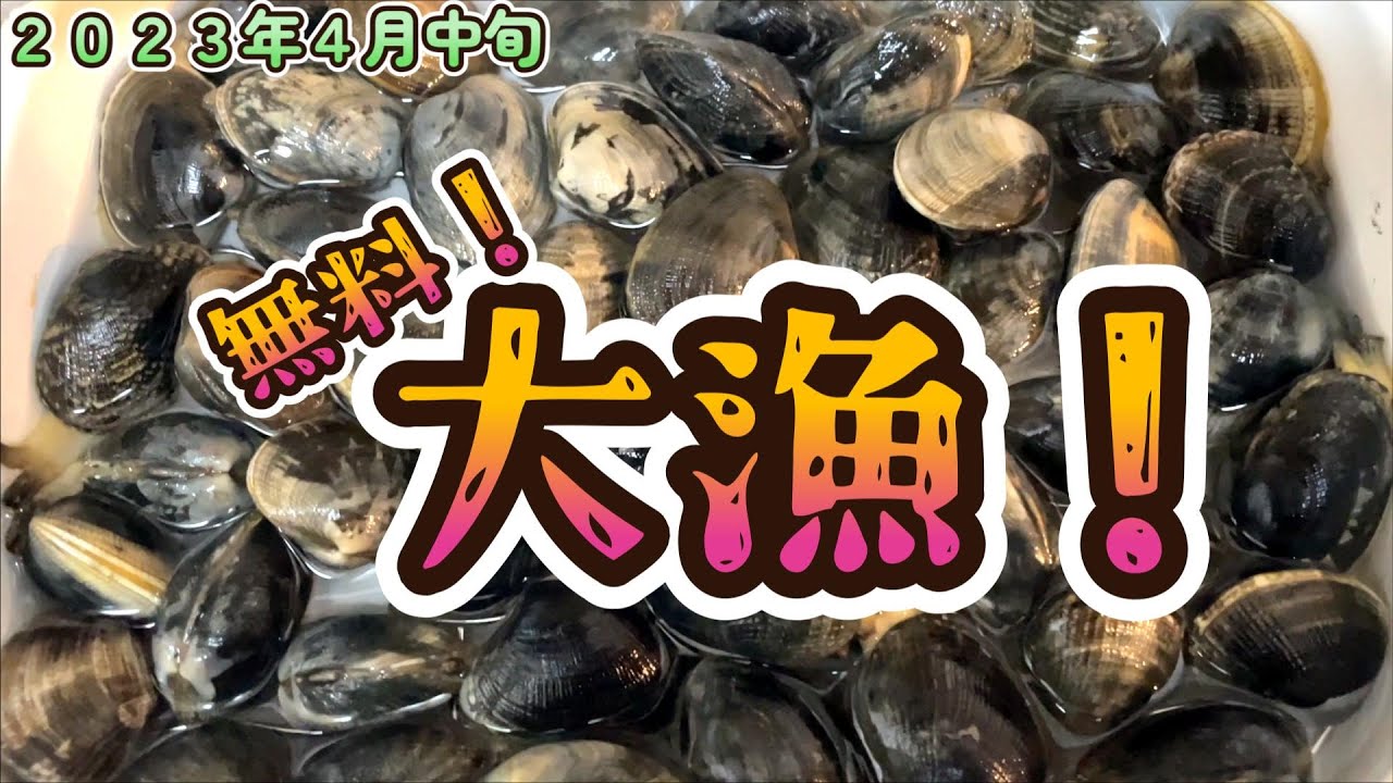 【潮干狩り】無料の潮干狩りスポットでオッサンがひたすら貝を掘るだけの動画です