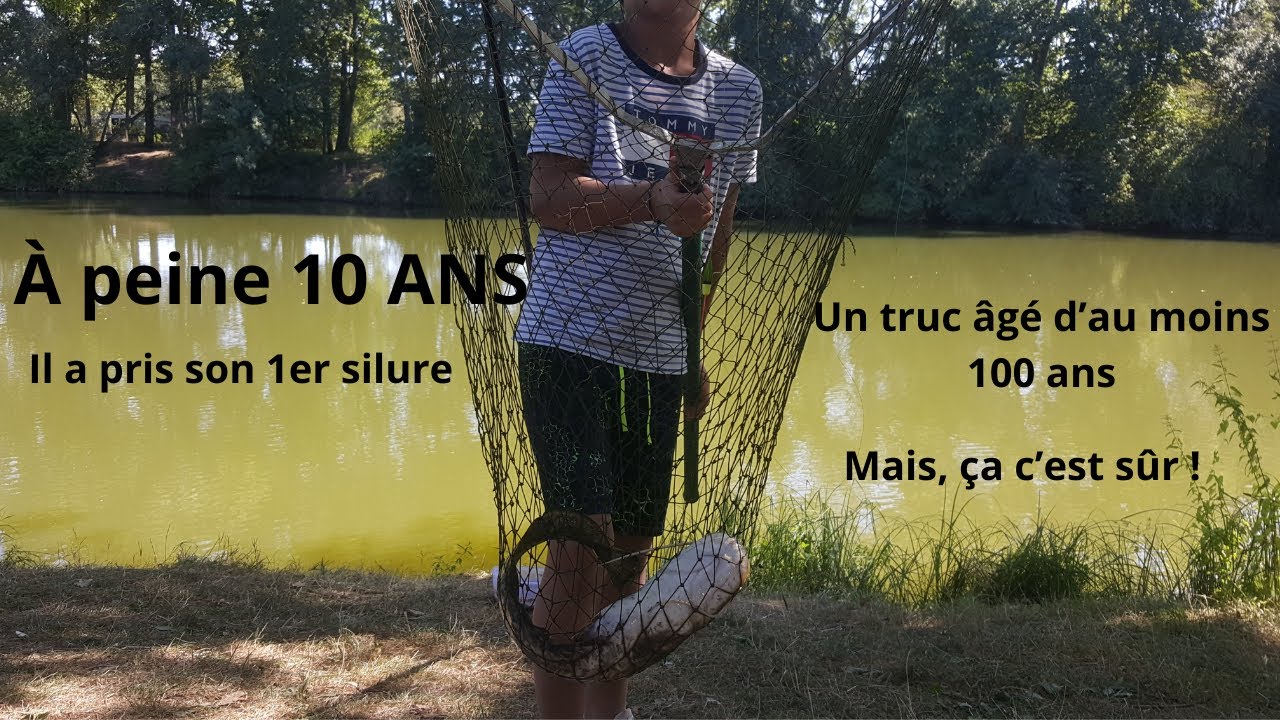1er silure