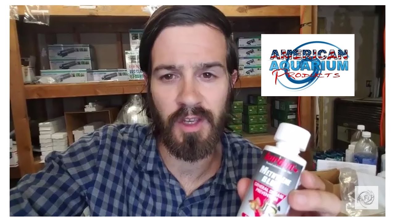 Unknown Sick Fish Disease- Methylene Blue | #1 Go-To Help