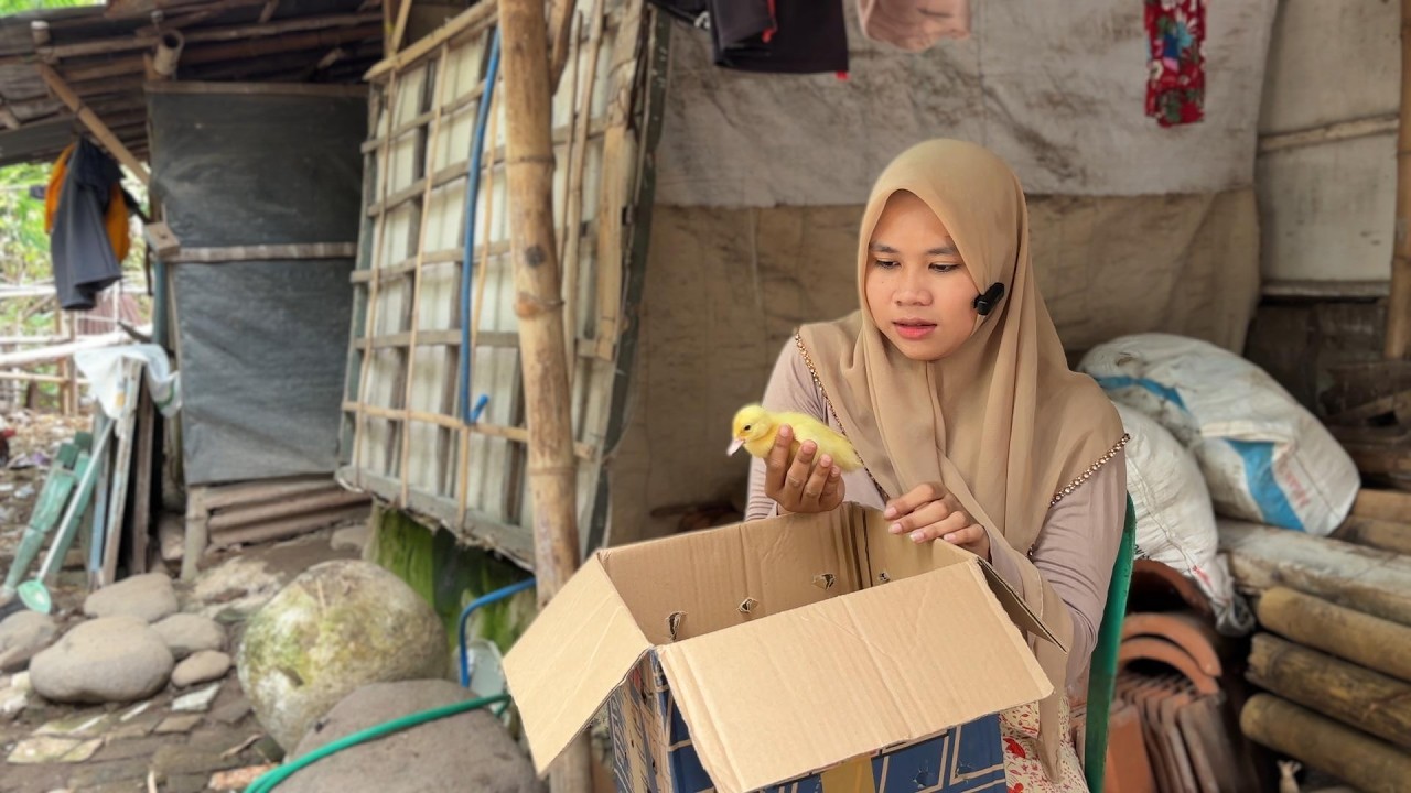 RIBUAN ORANG MENANGIS...! AWAL DARI KEBAHAGIAAN || JANDA DESA MENDERITA || JANDA DESA CANTIK