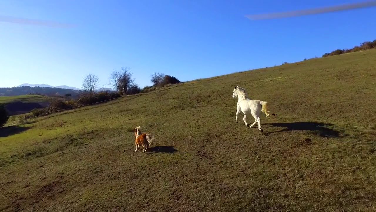 Amazing Auvergne Drone Overview