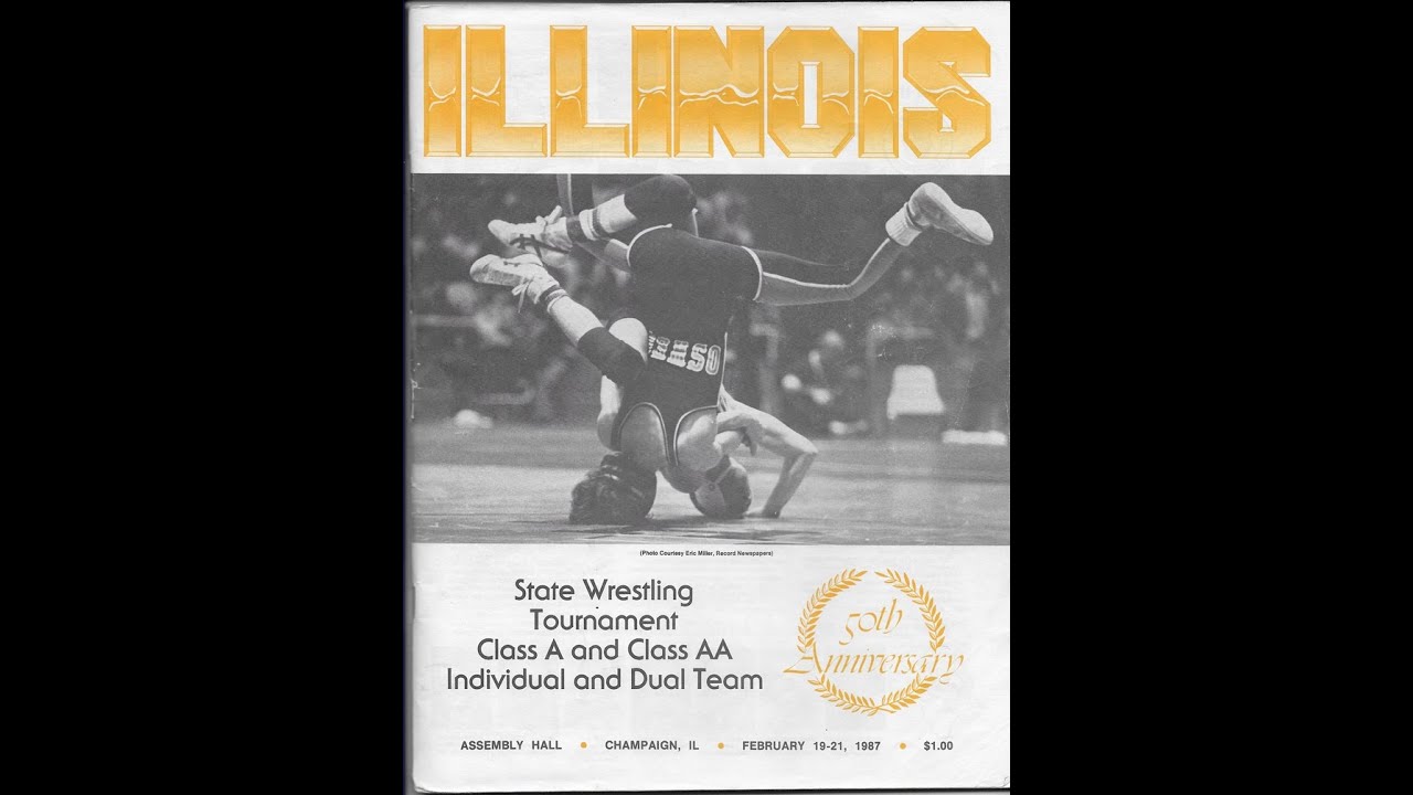 1987 IHSA State Wrestling Championships