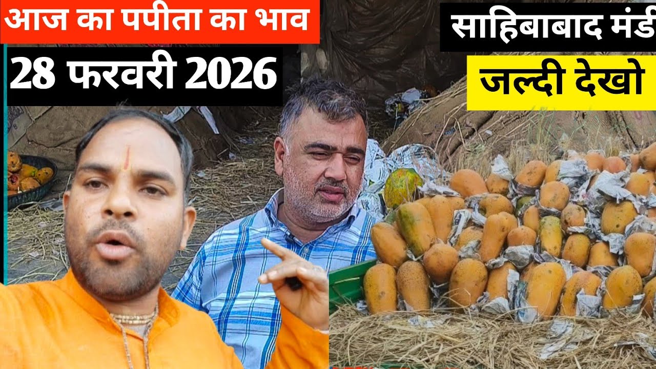 Why This Indian Mandi is Full of papeeta आज का पपीता भाव